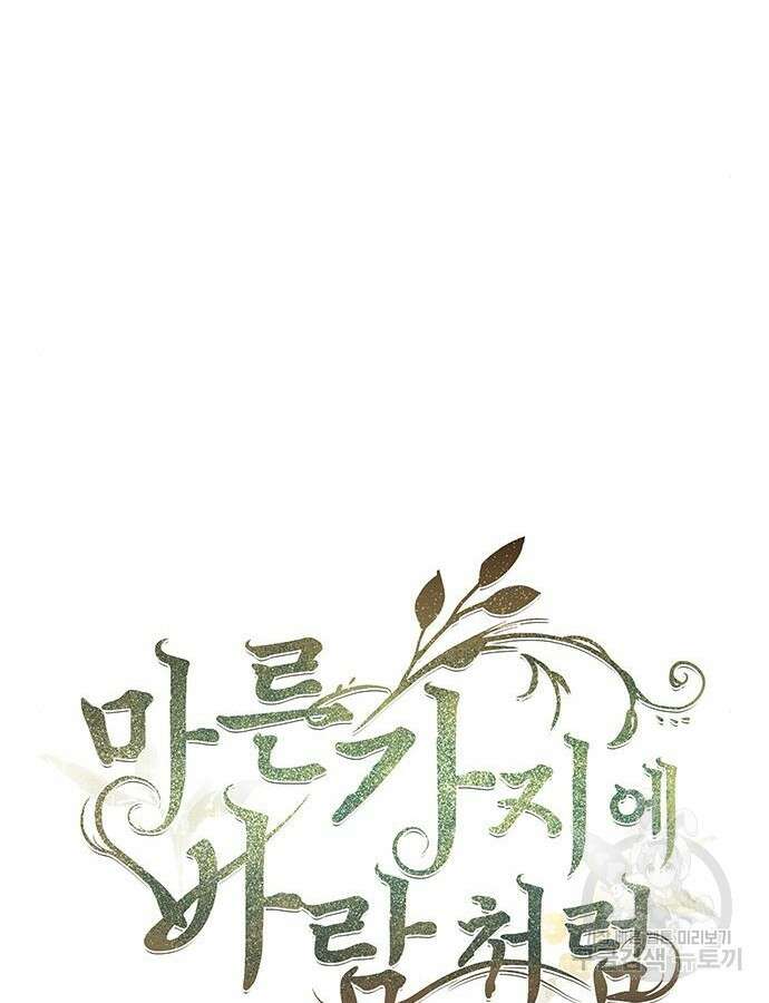 마른 가지에 바람처럼 152화 85