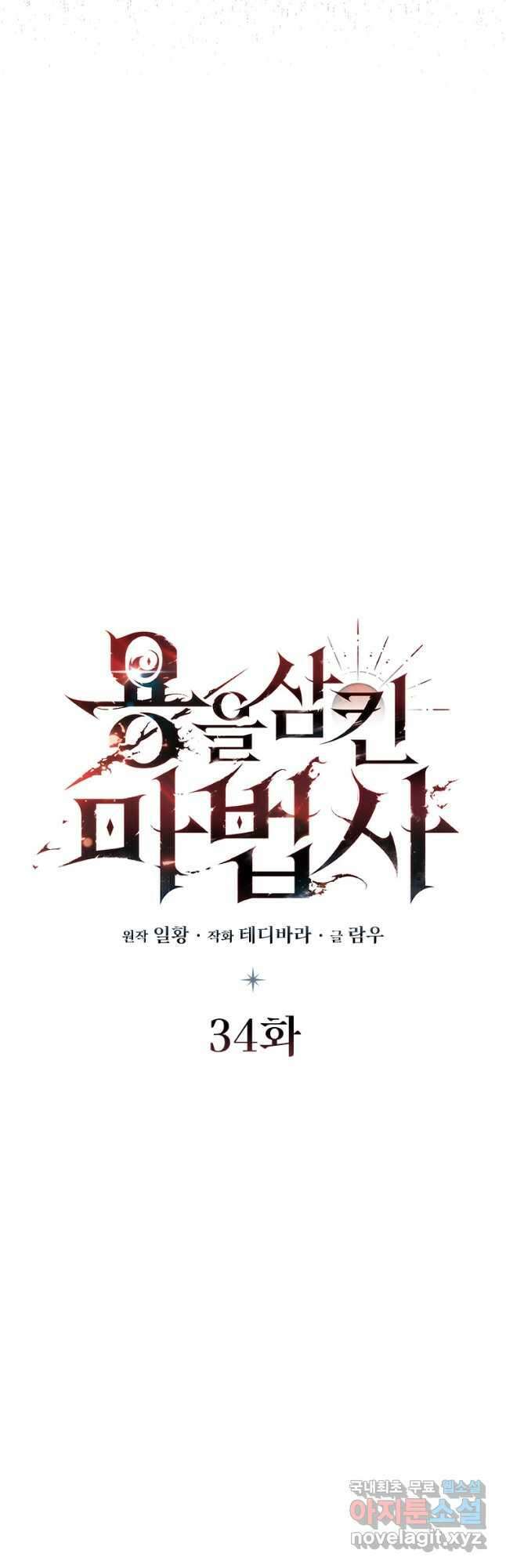 용을 삼킨 마법사 34화 10