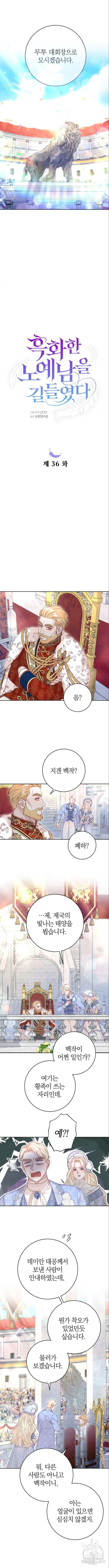 흑화한 노예남을 길들였다 36화 2