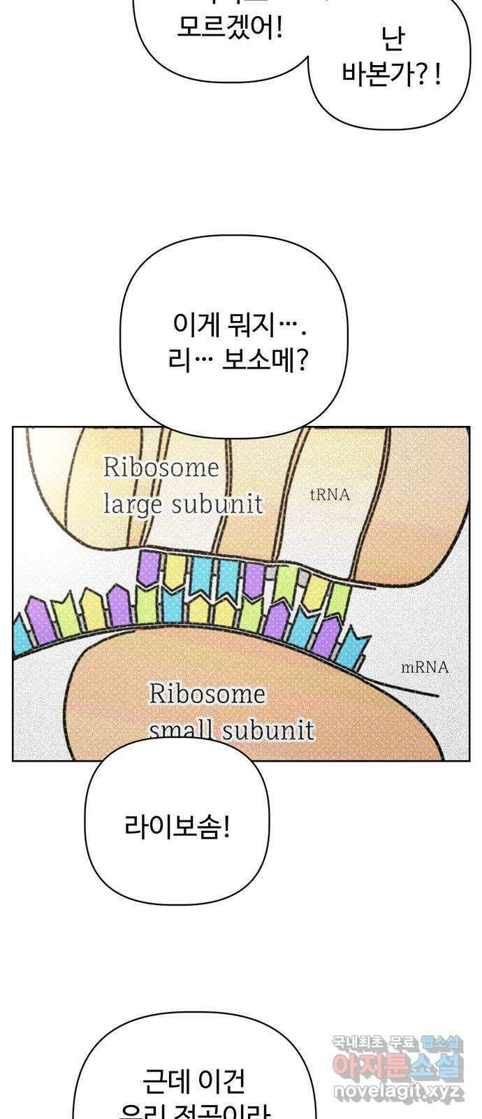 학식의 꿈 3화 44