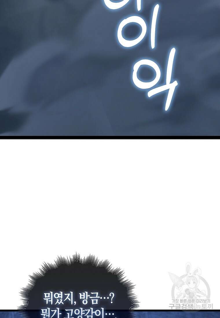 나는 회귀자가 아닙니다 10화 120
