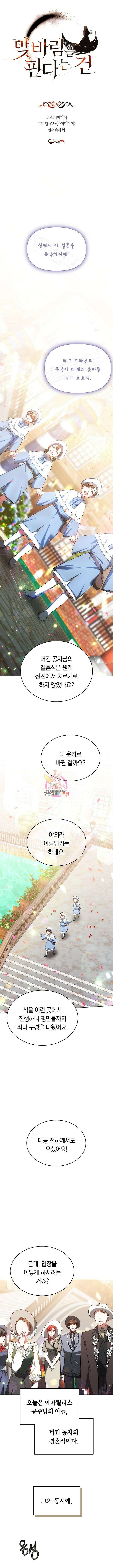 맞바람을 핀다는 건 49화 1