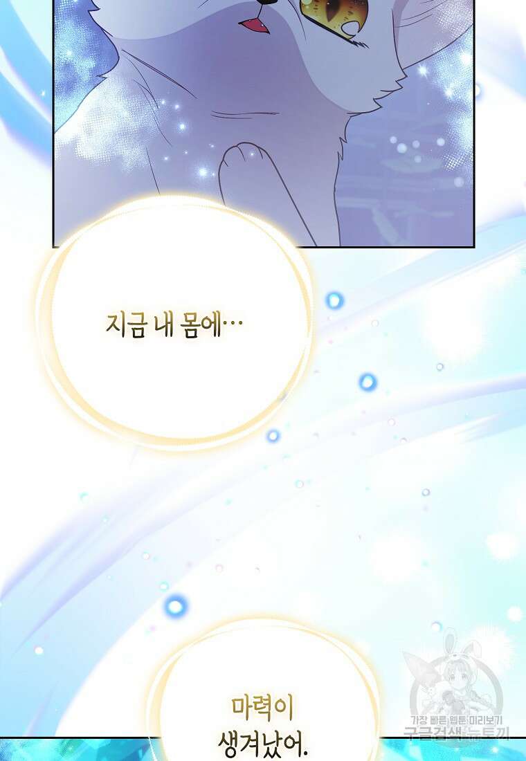대공가의 여우 황녀님 24화 41