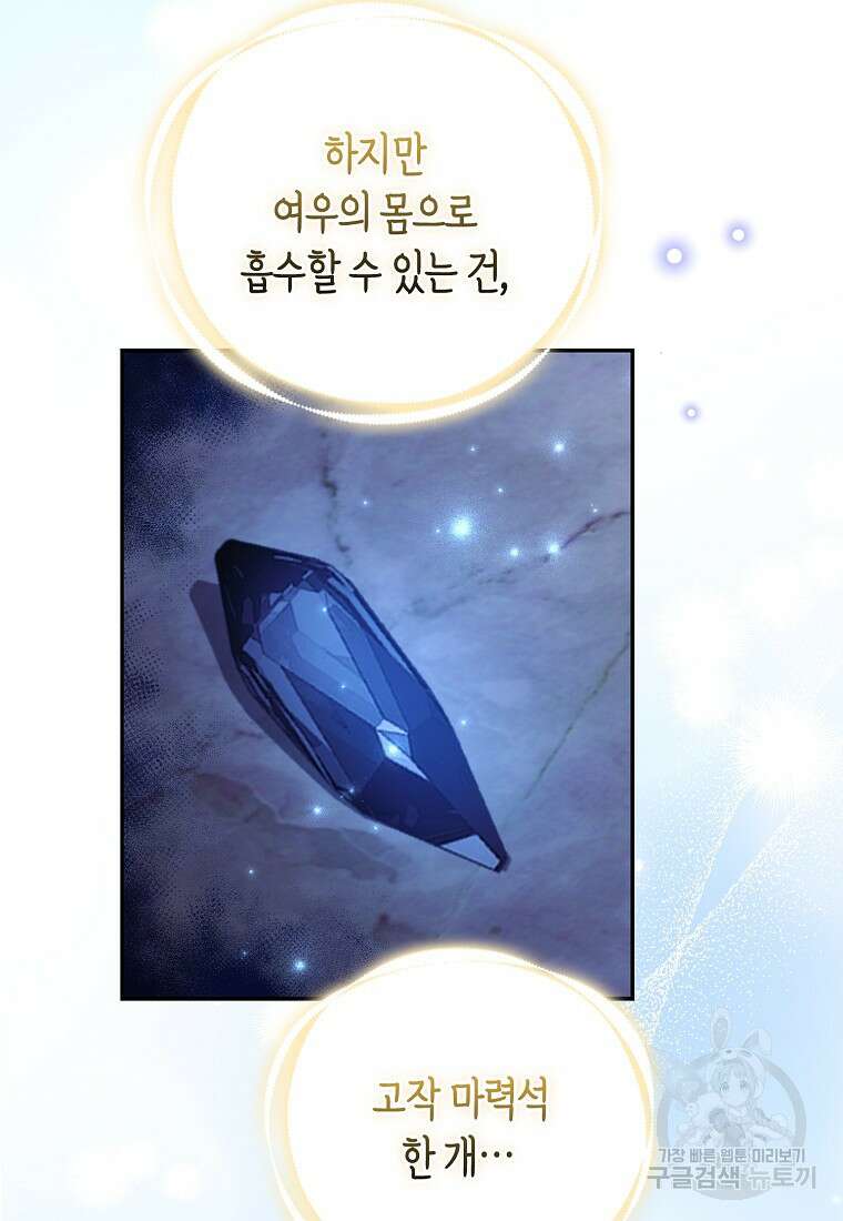 대공가의 여우 황녀님 24화 43