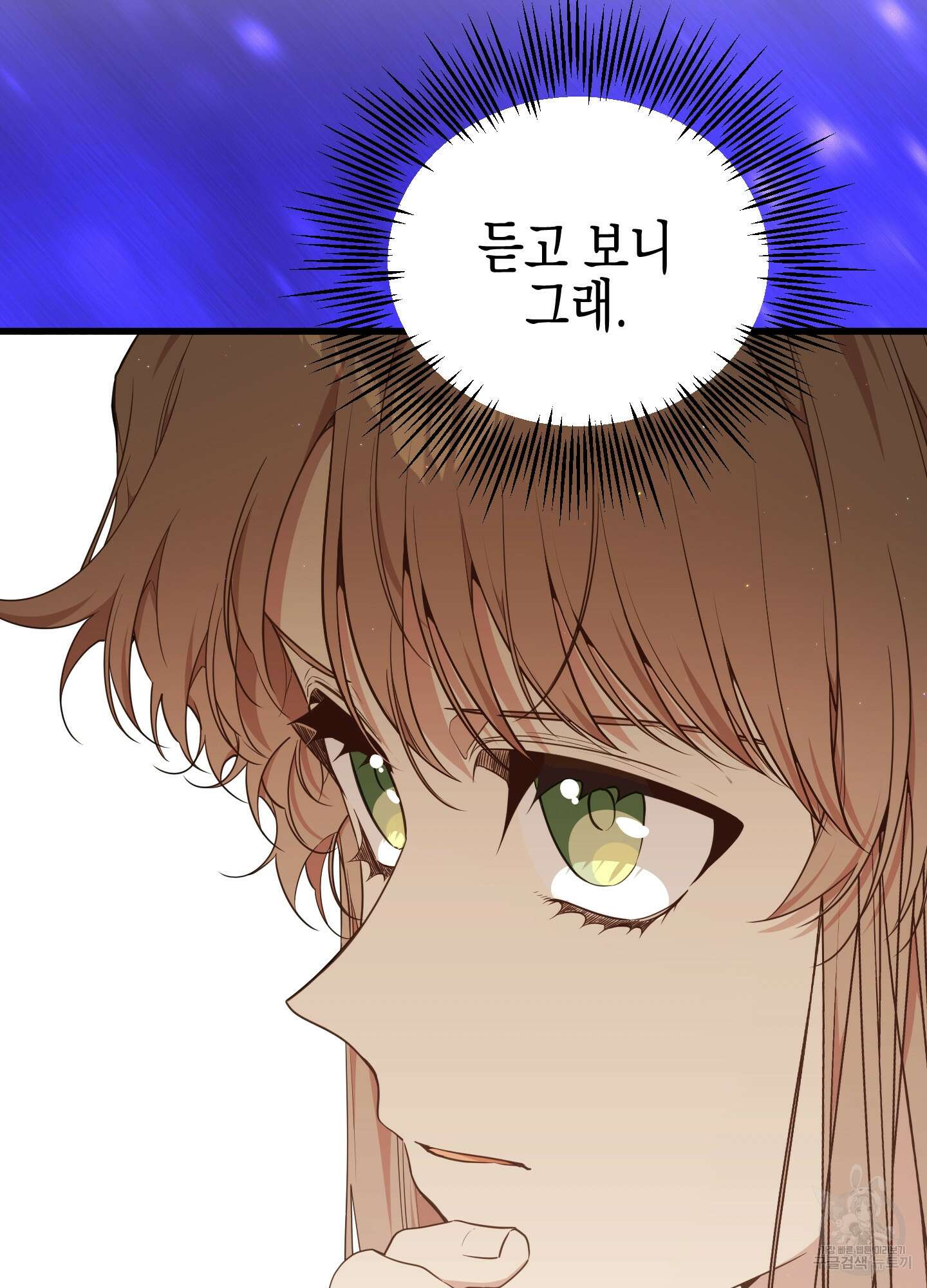 빙의물 여주의 언니입니다만 62화 12