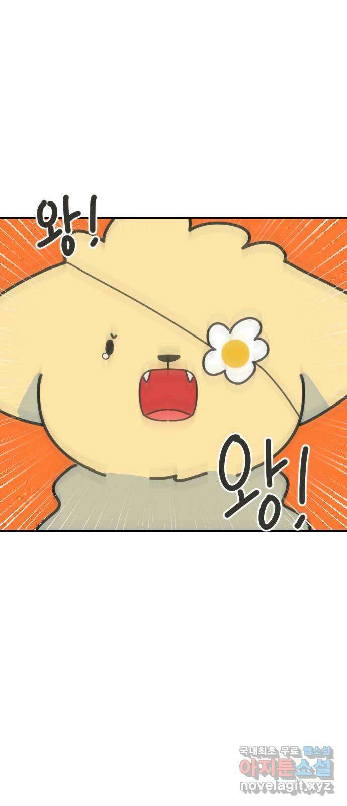 애구애구 54화 1