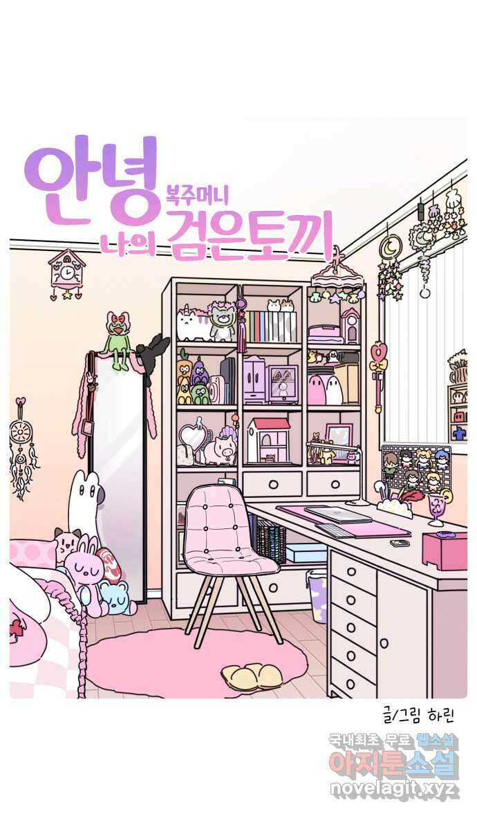 안녕, 나의 수집 104. 복주머니 검은 토끼 (1) 4