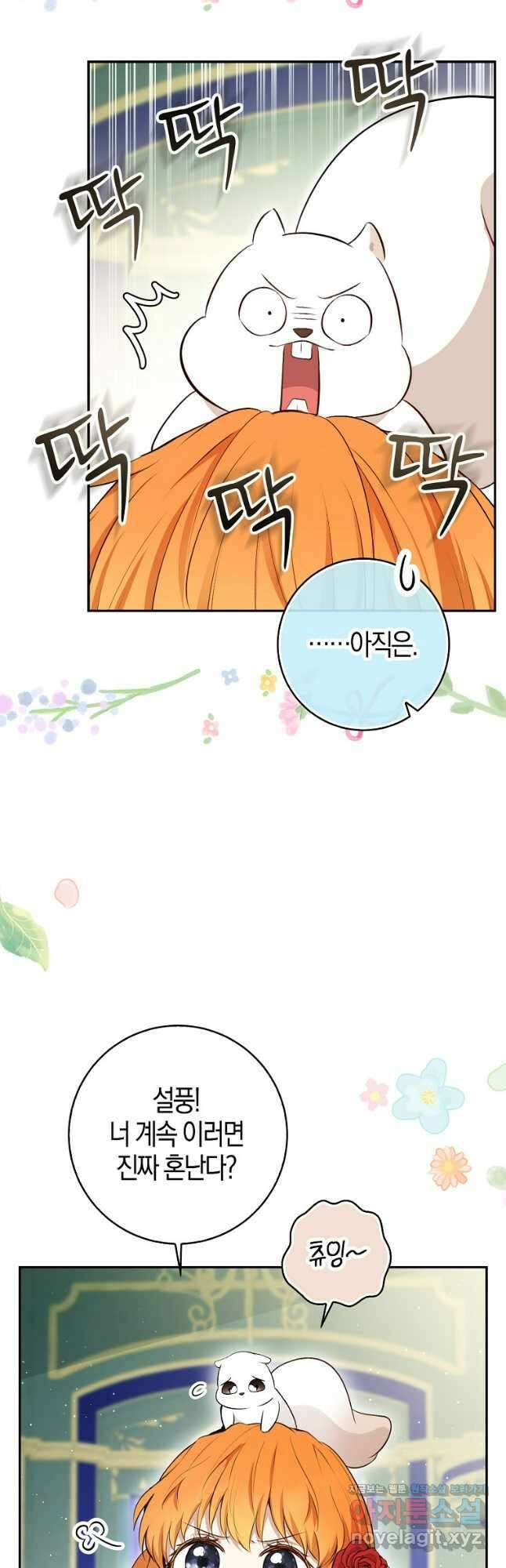 아기 다람쥐가 다 잘해요 67화 19