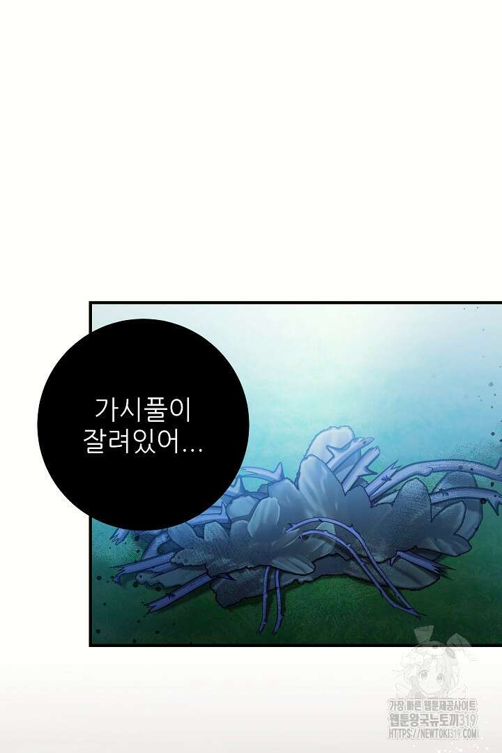 푸른 괴물의 껍질 25화 13