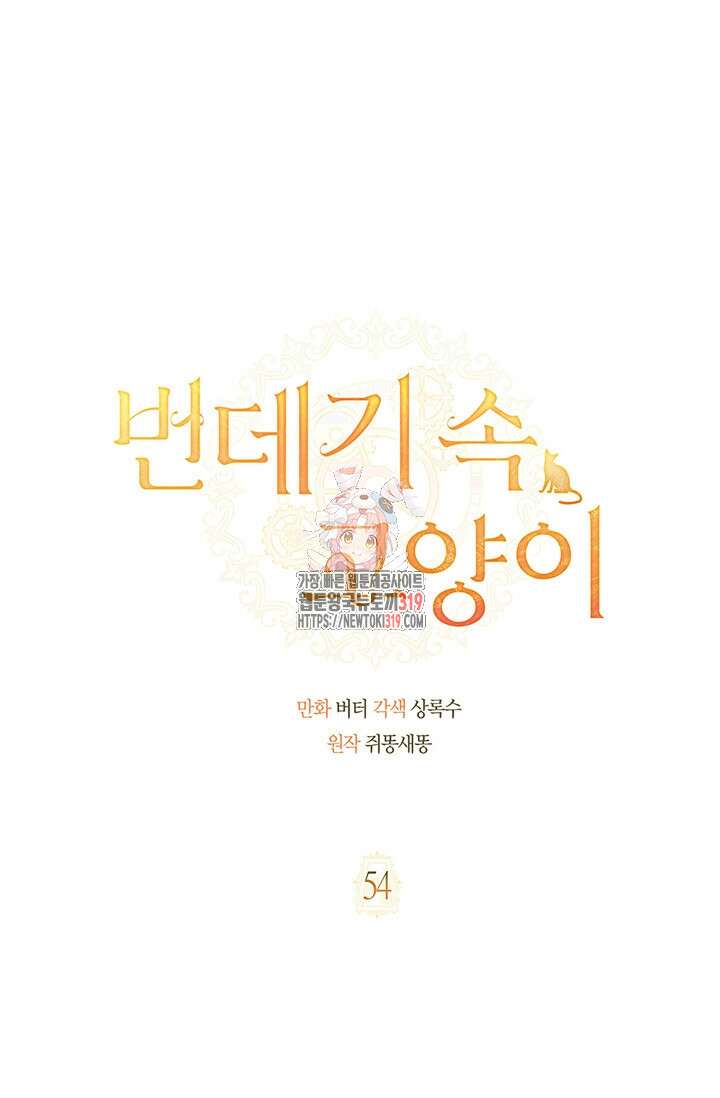 번데기 속 고양이 54화 1