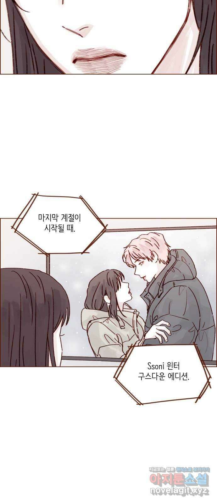 홍시는 날 좋아해! 258화 : 마지막 계절이 시작된다 5
