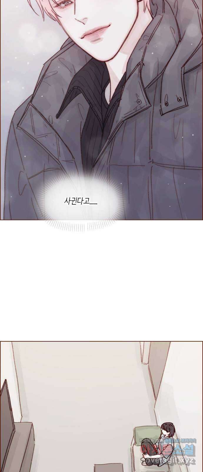홍시는 날 좋아해! 258화 : 마지막 계절이 시작된다 7