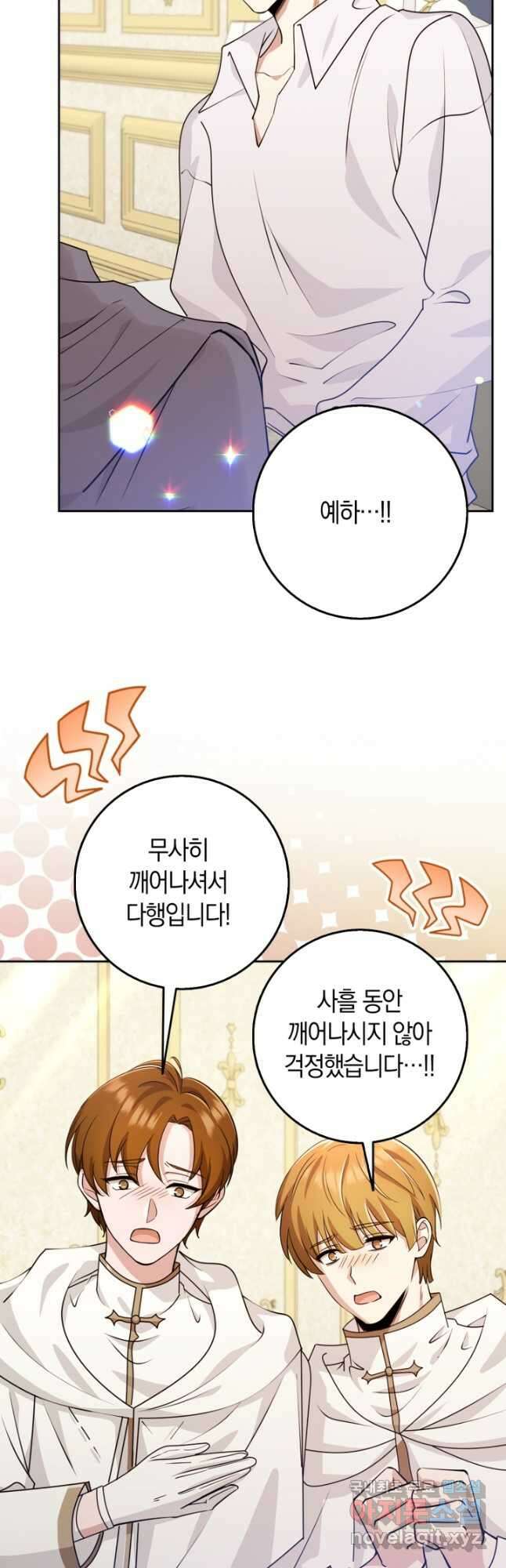 그 던전의 S급 시한부 영애 40화 3