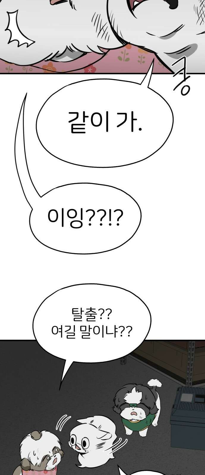 개같이 탈출 31화 27