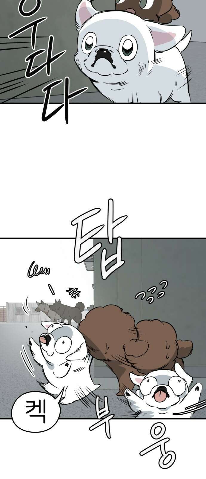 개같이 탈출 31화 41