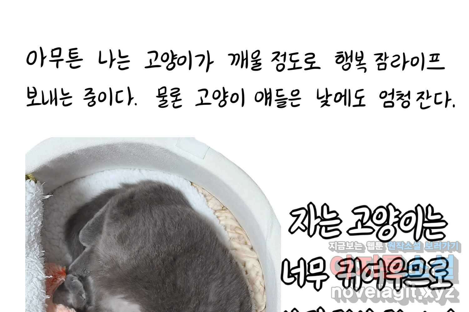 재활용 머학생 54화 잠이 많은 사람 32