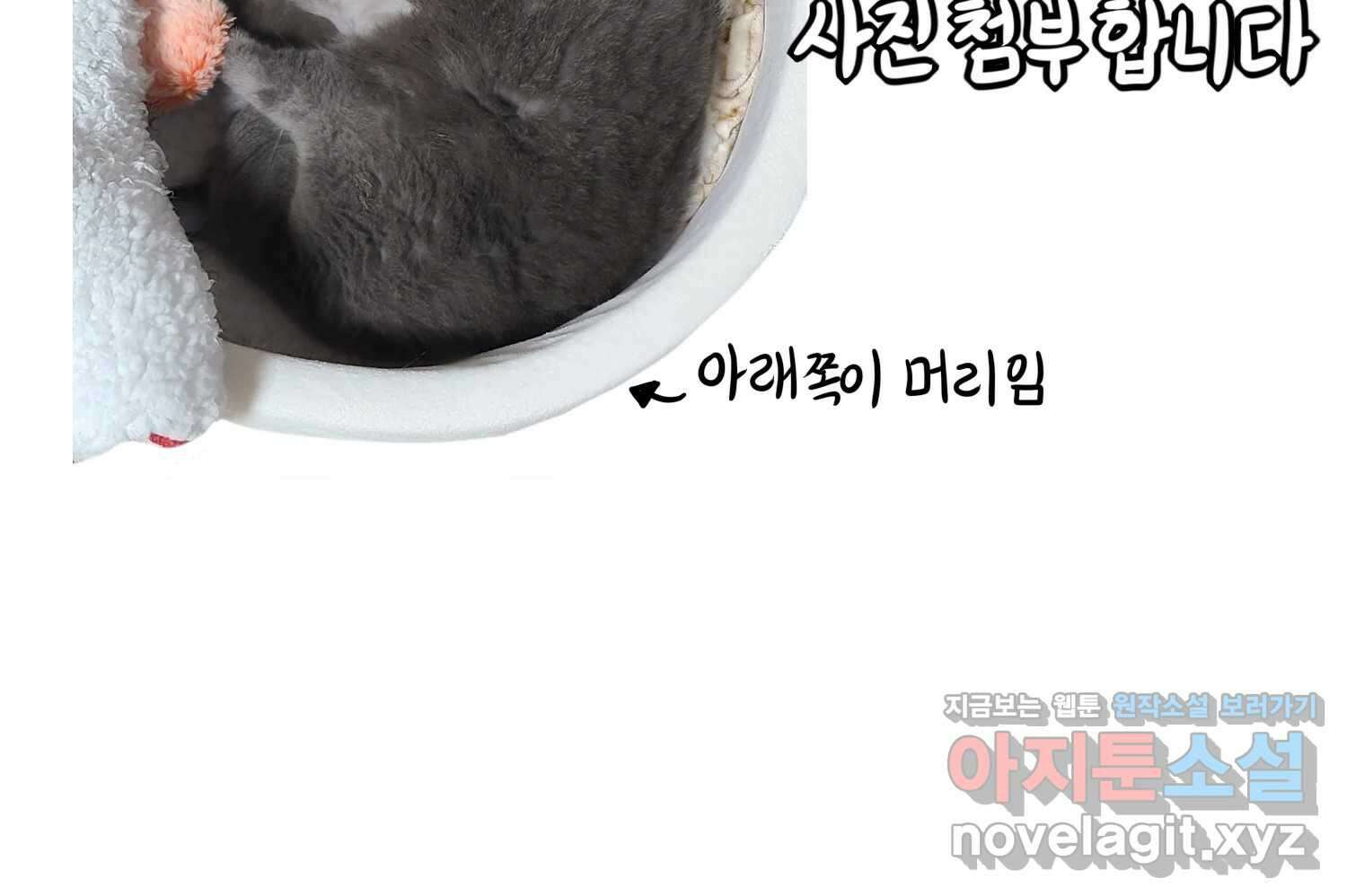 재활용 머학생 54화 잠이 많은 사람 33