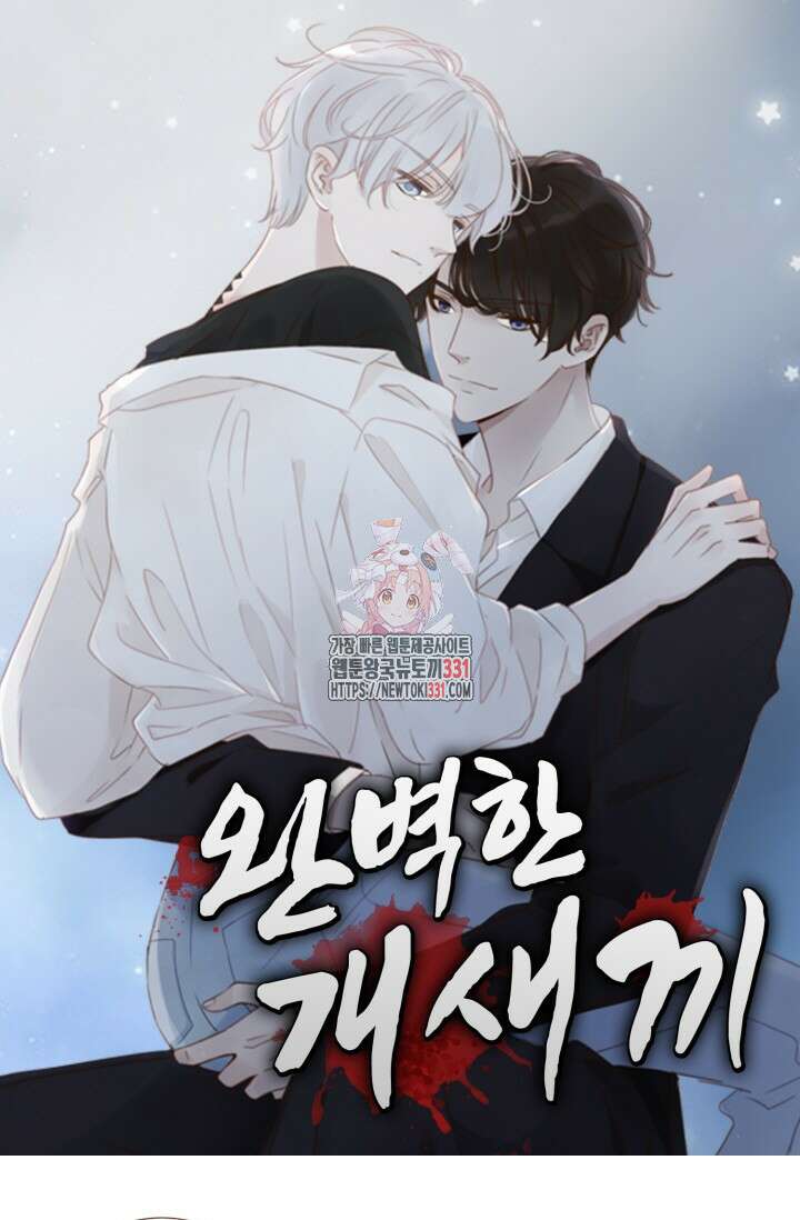 완벽한 개새끼 12화 1
