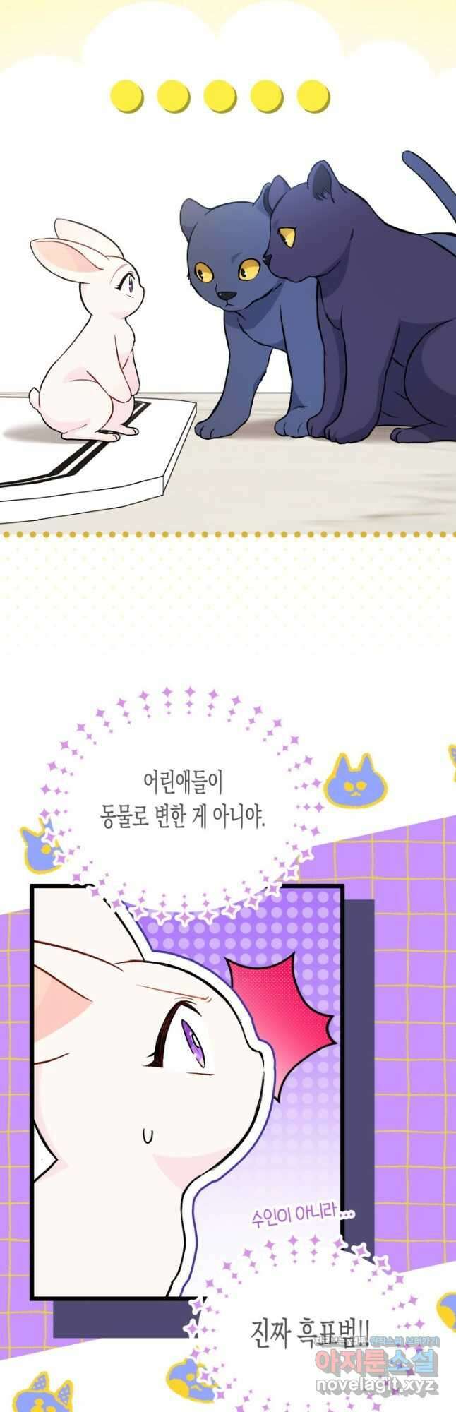 토끼와 흑표범의 공생관계 134화 10