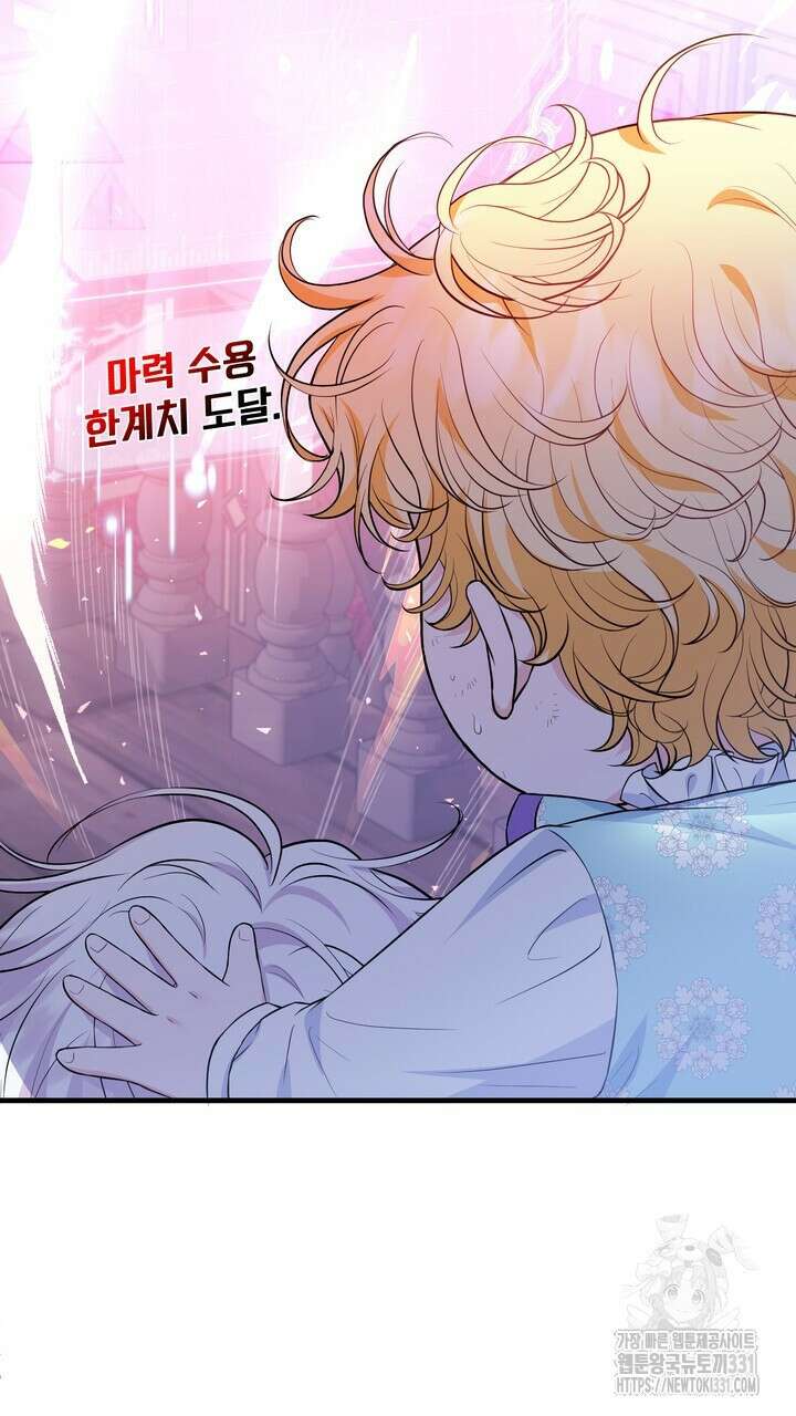 S급 아기 황녀님이 너무 강해 17화 43