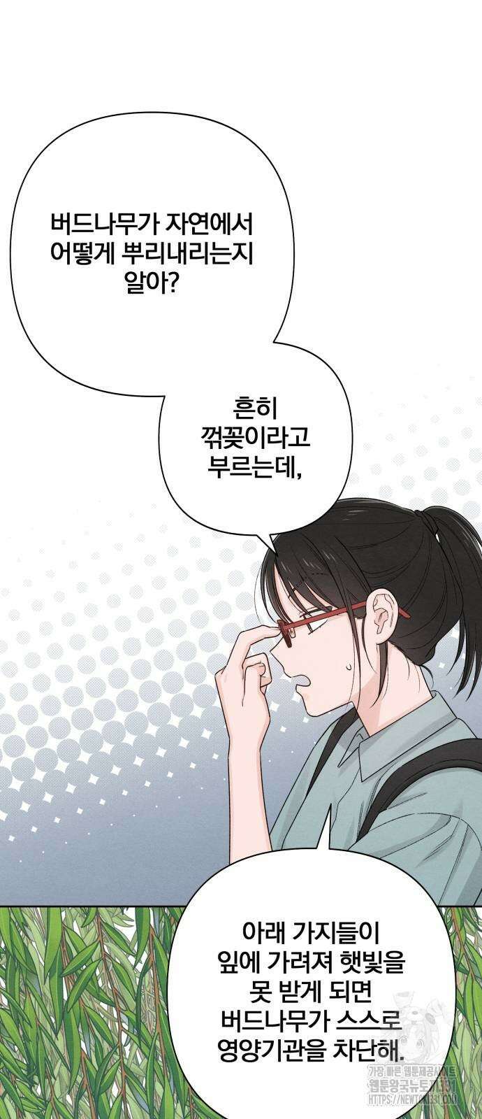 청춘계시록 66화 10