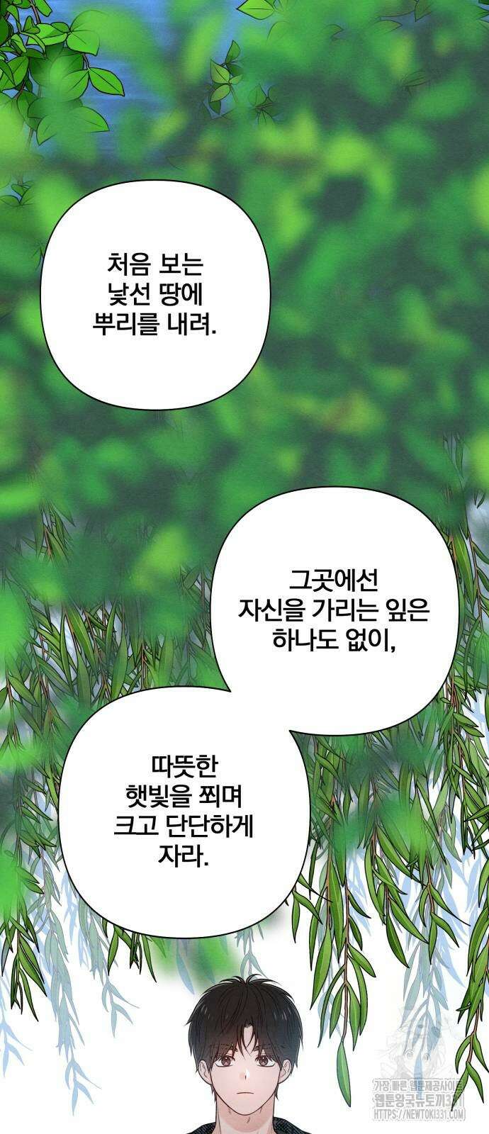 청춘계시록 66화 13
