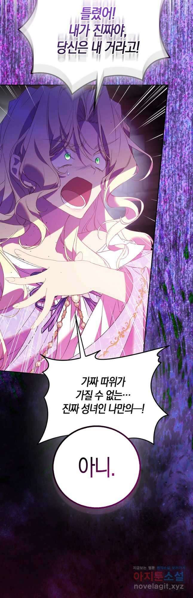 가짜 성녀인데 신들이 집착한다 75화 12