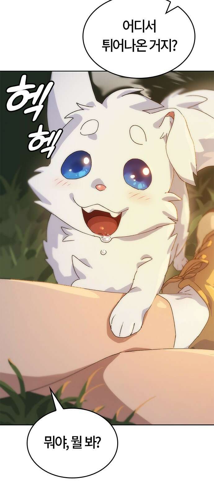 이세계 캠핑으로 힐링 라이프 1화 141