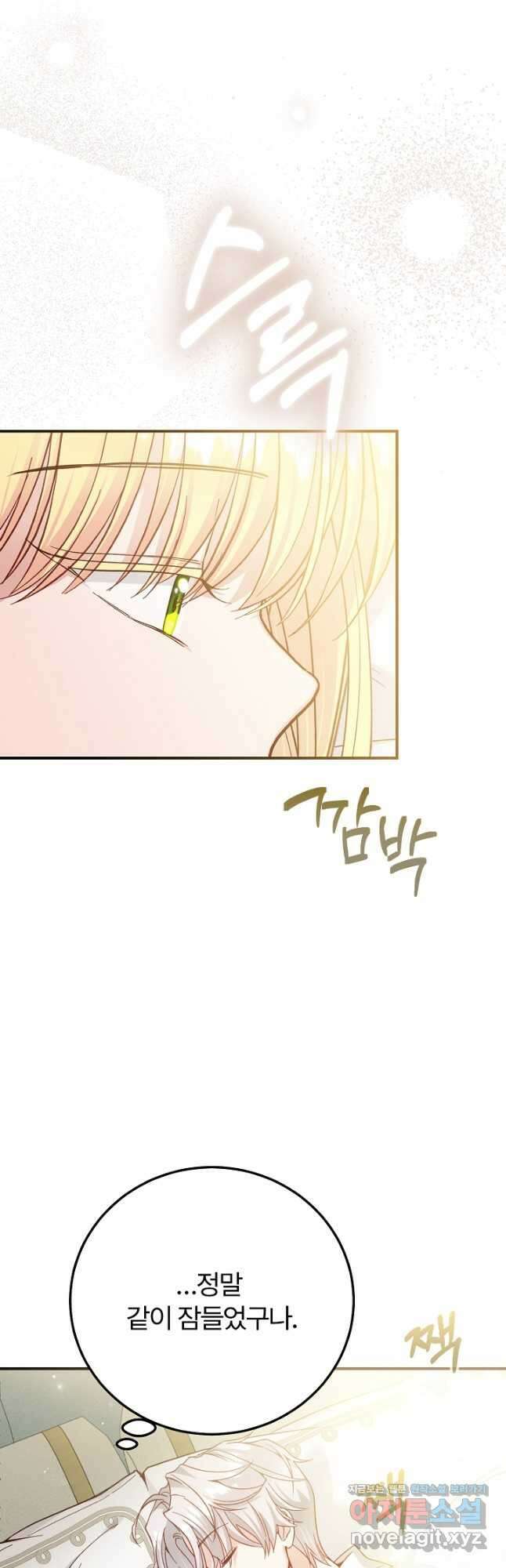 괴물 황태자의 아내가 되었습니다 96화 42