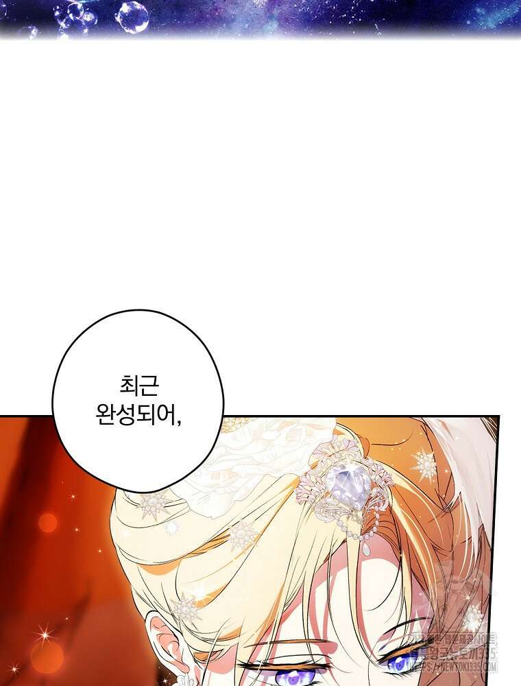 시크릿 레이디 98화 14