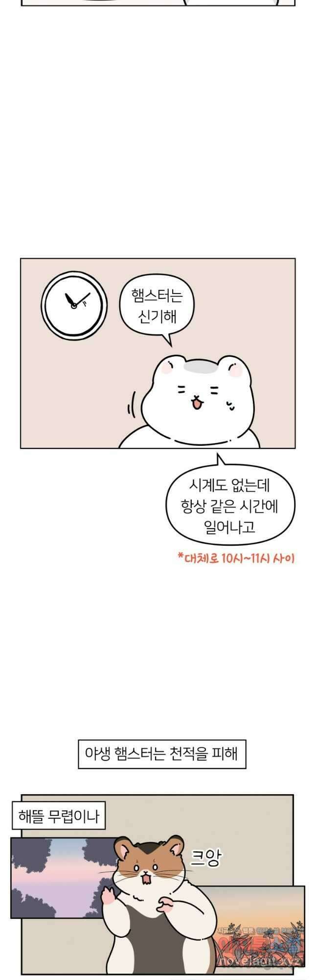 어쩌다 햄스터 8. 햄스터가 깨어나면 3