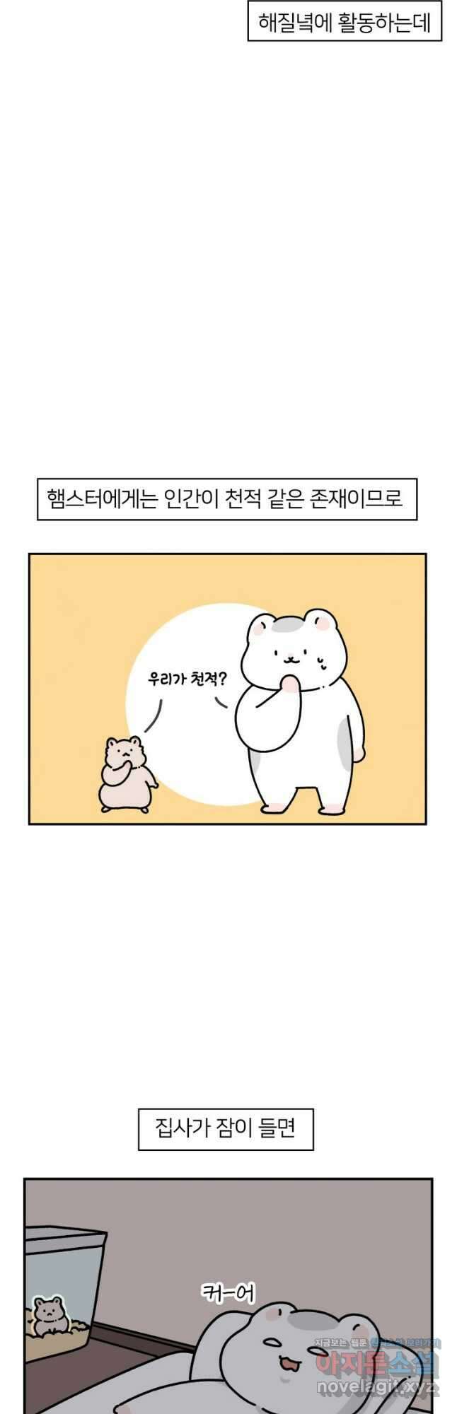 어쩌다 햄스터 8. 햄스터가 깨어나면 4