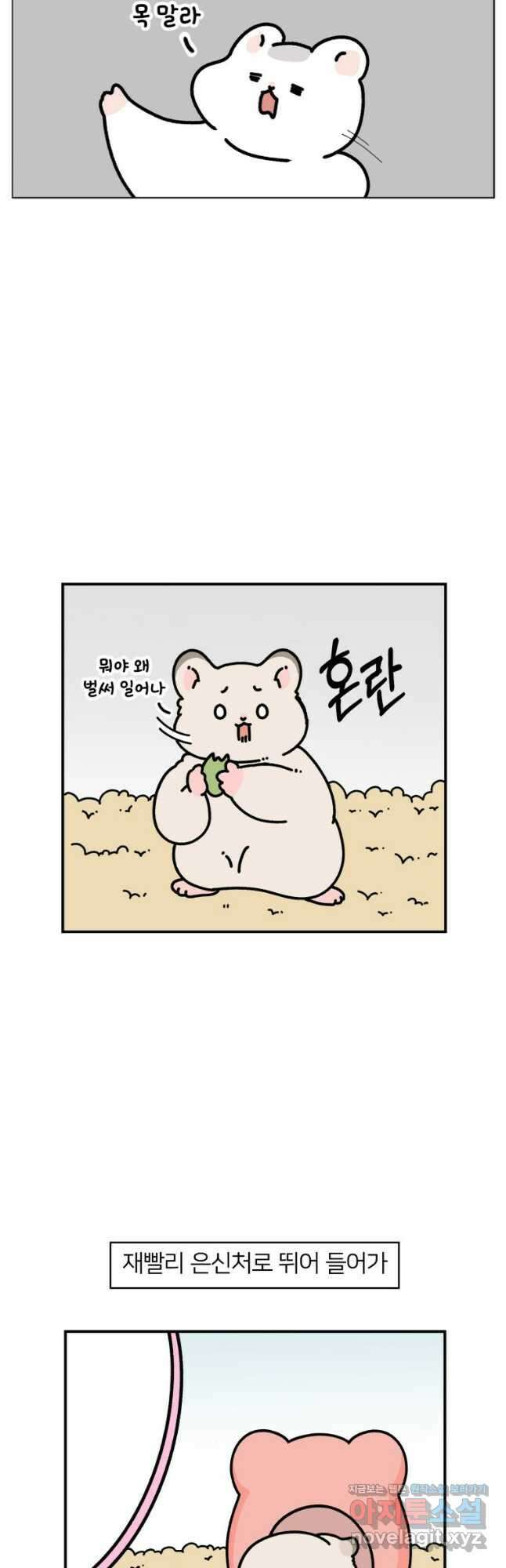 어쩌다 햄스터 8. 햄스터가 깨어나면 6