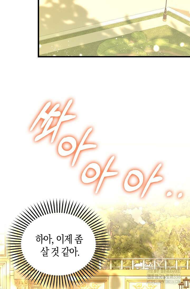시한부라서 남주의 형과 결혼했더니 내게 집착한다40화 4