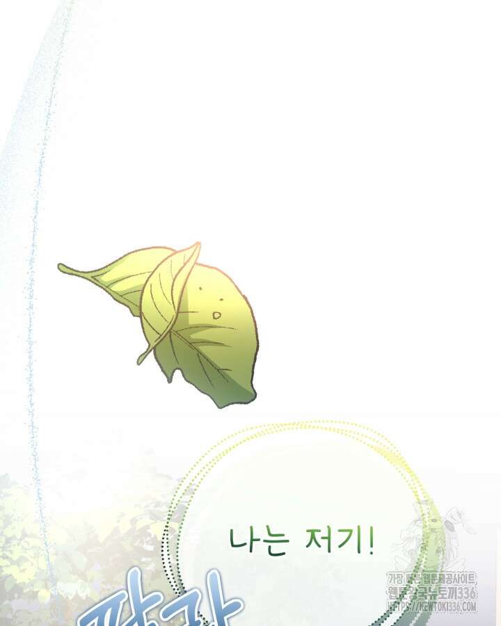 홍차 정원의 귀한 아가씨입니다 16화 17