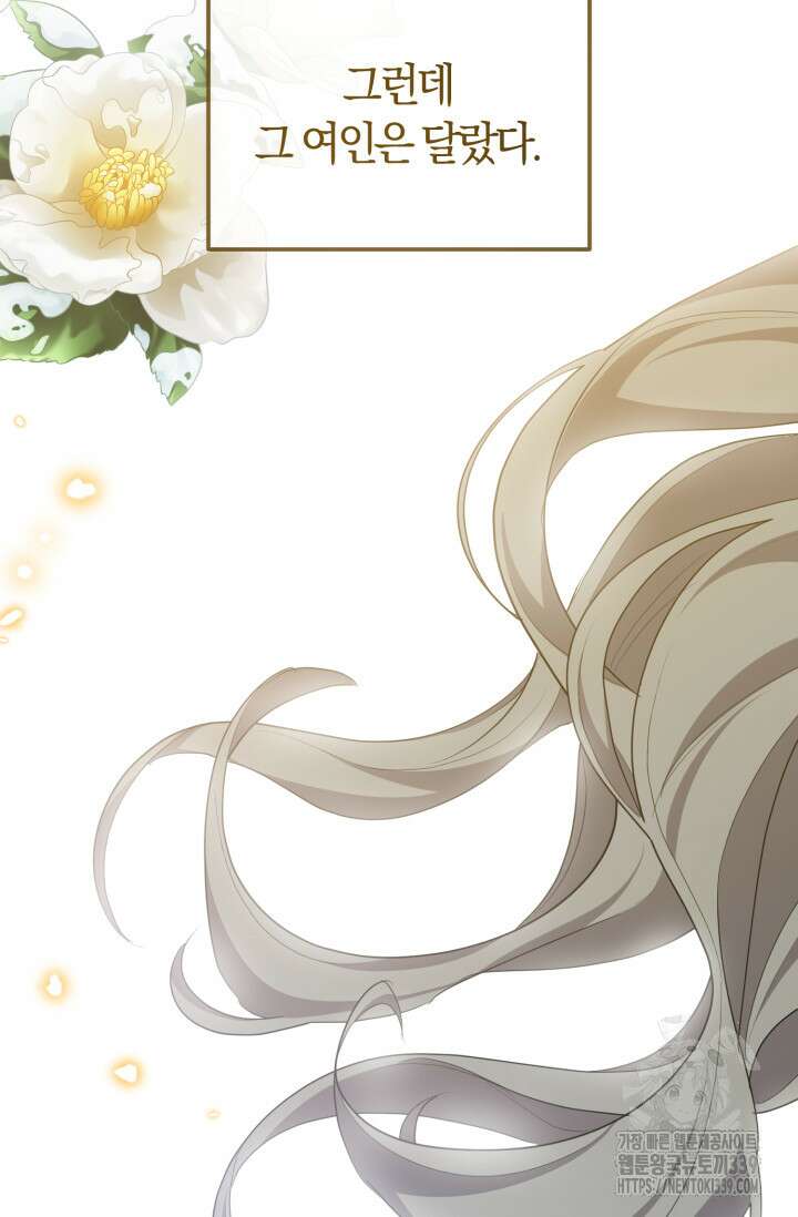 레이디는 싫습니다 29화 5