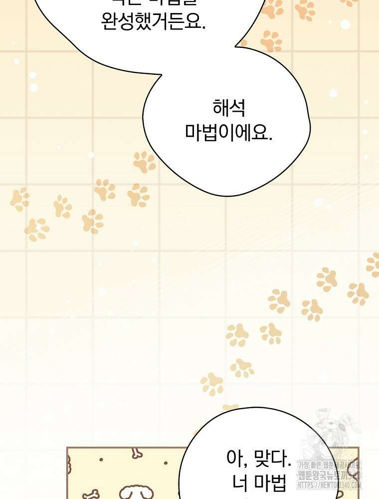 시한부를 즐겼을 뿐이었는데 19화 3