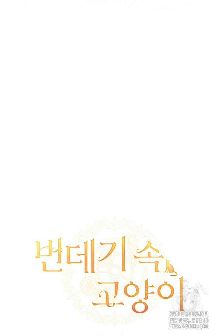번데기 속 고양이 72화 6