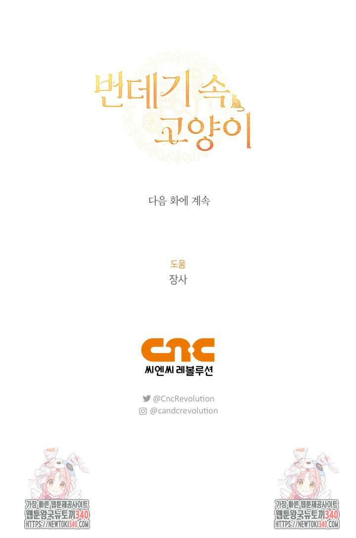 번데기 속 고양이 72화 94