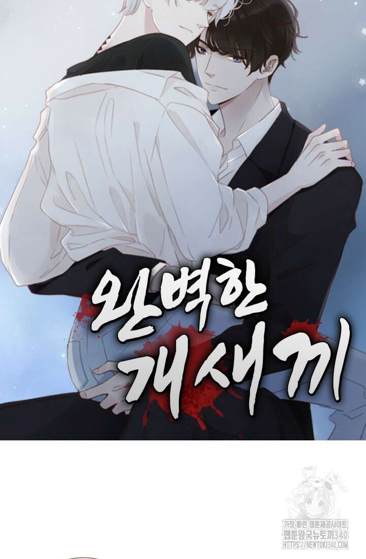 완벽한 개새끼 35화 6