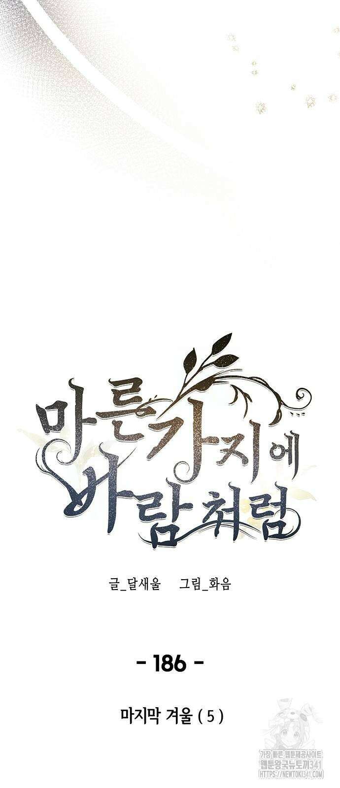 마른 가지에 바람처럼 186화 53