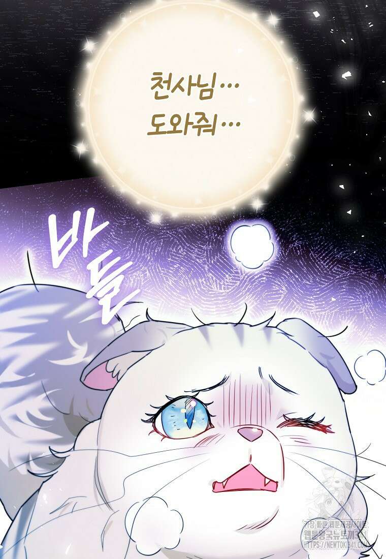 악역에 빙의했지만, 고양이나 키울래요 16화 3