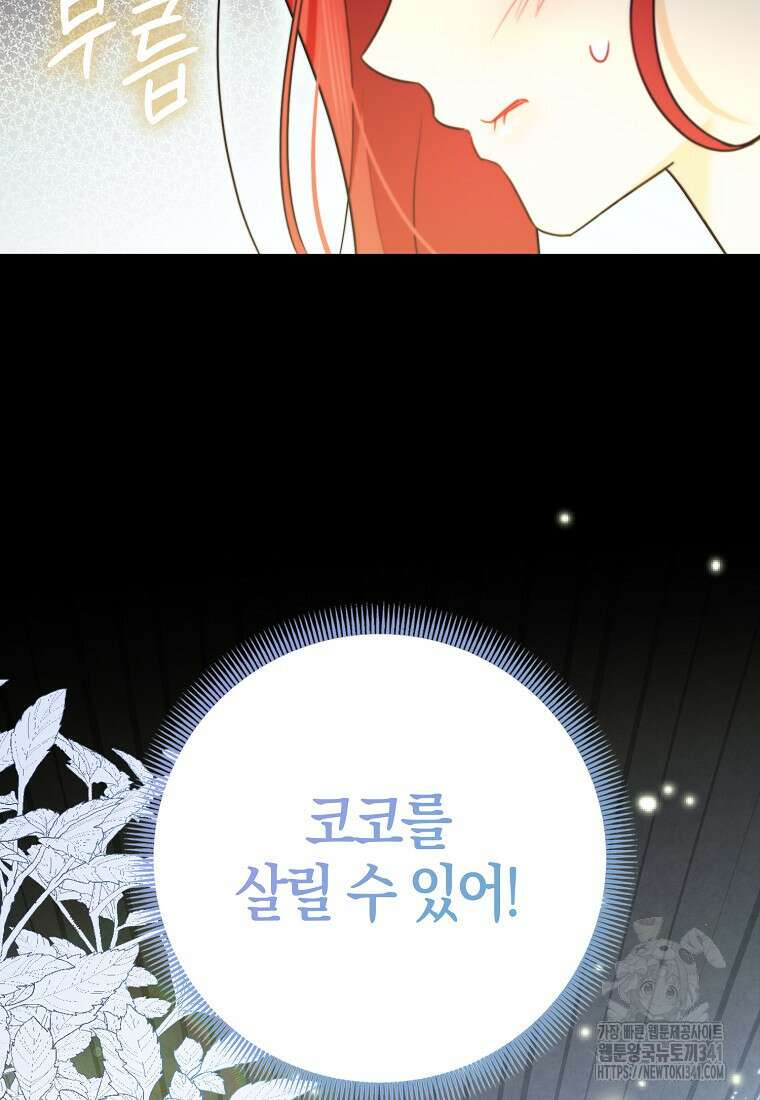 악역에 빙의했지만, 고양이나 키울래요 16화 19