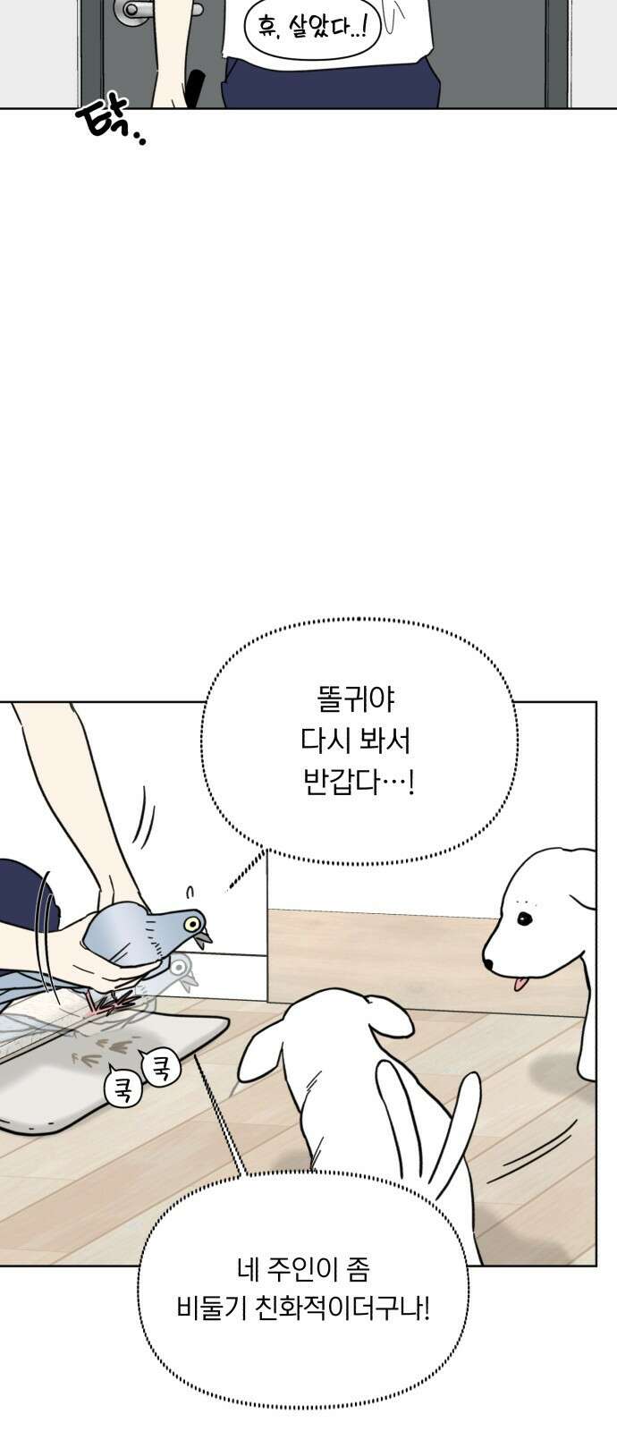성북구 비둘기 이헌서 3화) 유감이야 i'm sorry 11
