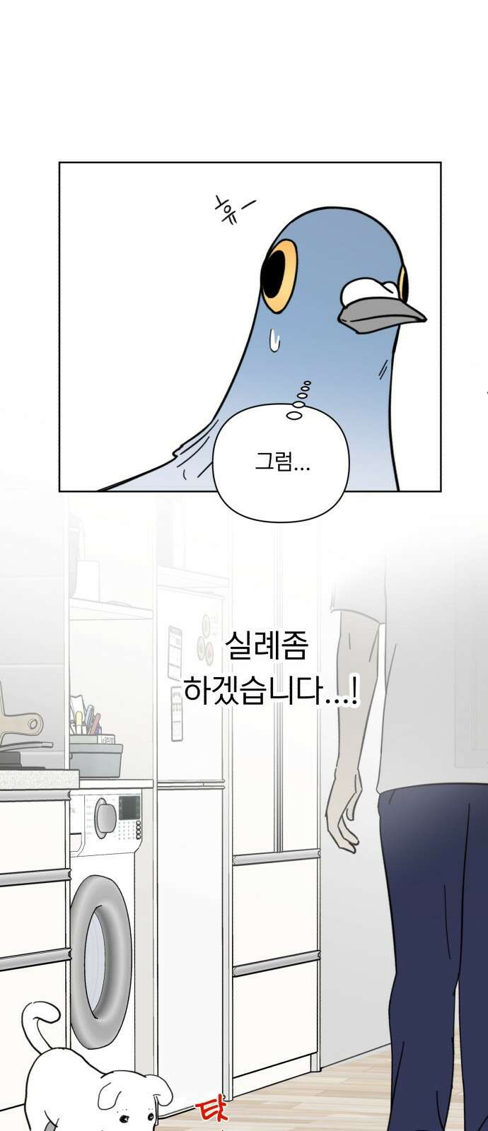 성북구 비둘기 이헌서 3화) 유감이야 i'm sorry 12