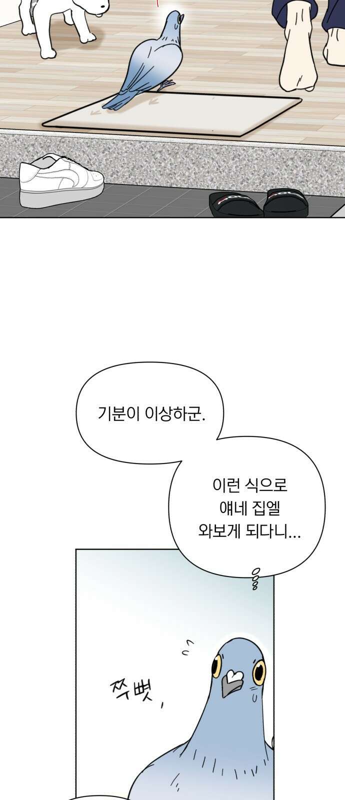 성북구 비둘기 이헌서 3화) 유감이야 i'm sorry 13