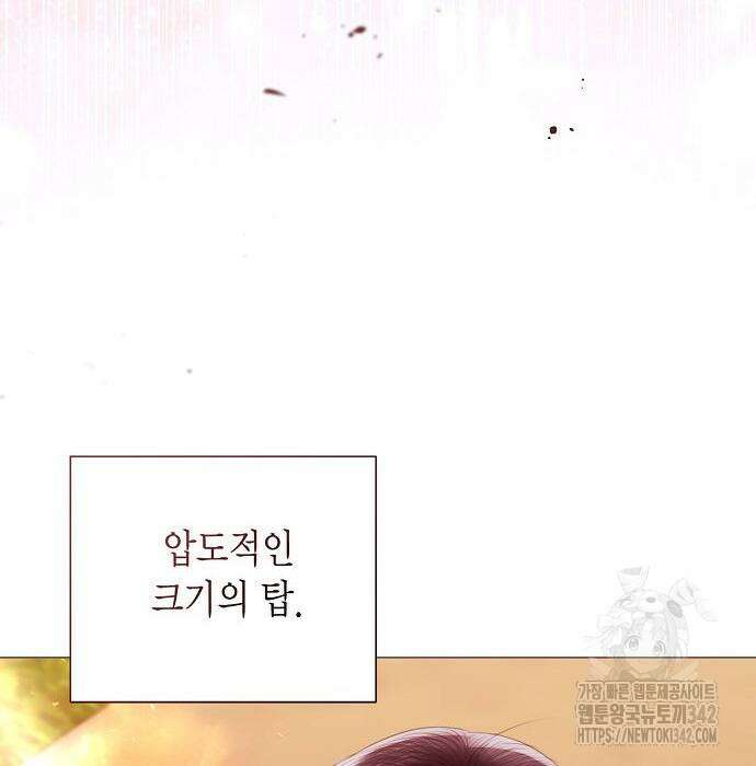 황후 자리를 버리겠습니다 79화 33