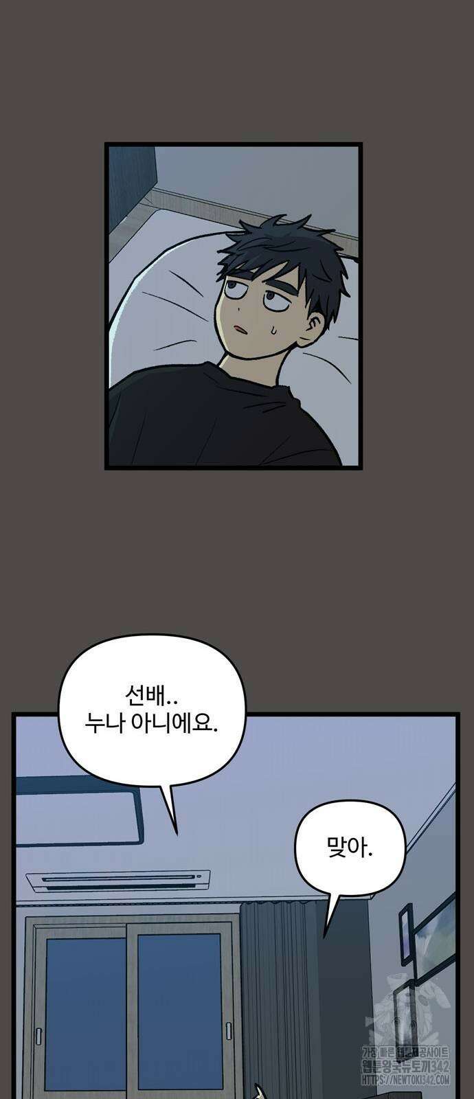 집이 없어 263화 11
