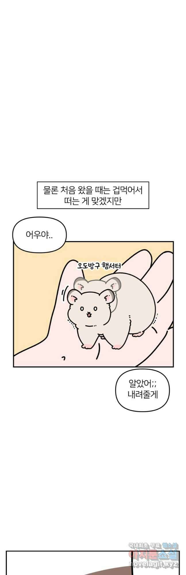 어쩌다 햄스터 17. 골든헤르츠 6