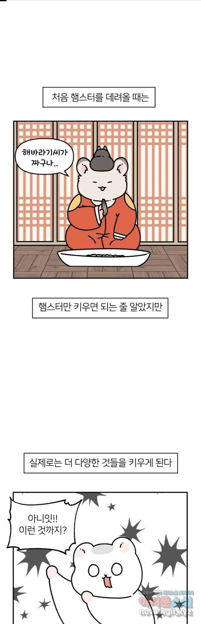 어쩌다 햄스터 19. 햄스터 타이쿤 1
